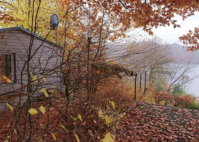 Ferienbungalow Hébergement de vacances *